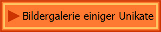 Bildergalerie einiger Unikate